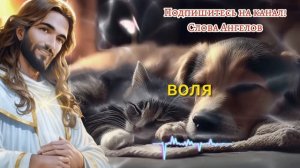 ? БОГ ГОВОРИТ Это самое важное послание, которое вы услышите сегодня ✝️ #словаангелов