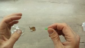 Воблеры Кальмар, Креветка и силикон Ларва