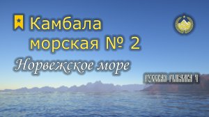 ✮ Норвежское море ✮ Камбала морская № 2 ✮