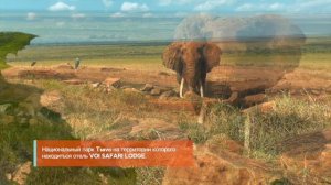 ОБЗОР VOI SAFARI LODGE THE TSAVO NATIONAL PARK