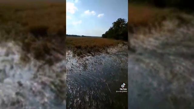 Большие ливни затопили поля в хлам.... смотреть онлайн