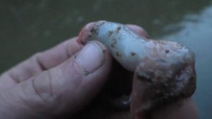 Выживание в девственной тайге 2023  Рыбалка Охота Лес Поход Сибирь Медведь Тайга Хариус Таймень Дже