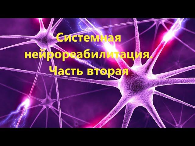 Системная нейрореабилитация.  Часть вторая.
