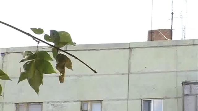 Капитальный ремонт смотреть онлайн