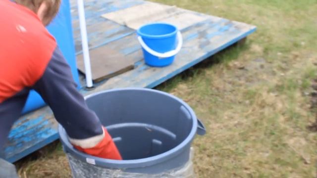 Чистка пруда, запуск 30 кг карпа, вся рыба в пруду смотреть онлайн