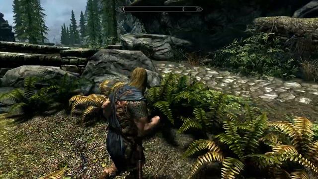 SKYRIM 2  Просто доходим до Вайтрана
