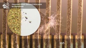 Испытательный центр ФГБУ ВНИИР г. Мытищи. Испытания ЭКБ и радиоэлектронной аппаратуры