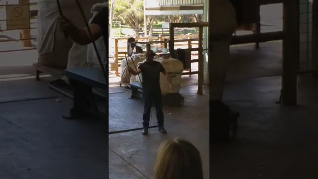 Australian Andy смотреть онлайн