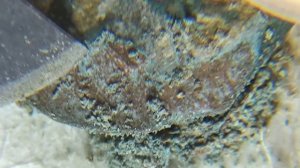 Механическая ЧИСТКА МОНЕТ с помощью цанговых ножей