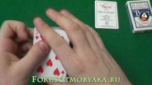 Обзор колоды карт Bee Standard. Где купить карты для фокусов. Playing card deck review