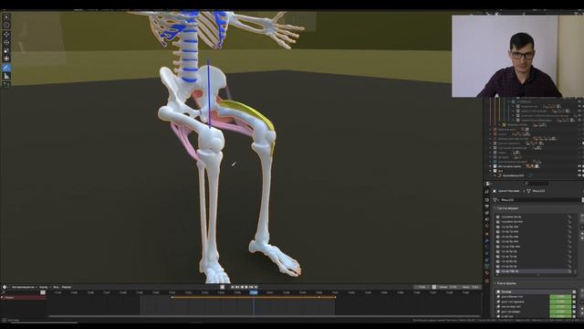 наружная ротация(супинация) голени с пояснениями смотреть онлайн
