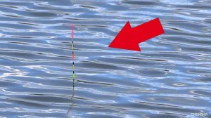 НА КАРАСЯ (часть 4) Золотые ЧУДО-караси на ХЕРАБУНУ и рекордный улов на летней рыбалке СИБИРИЯ