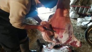 Как разделывать козлятину