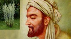 Это растение убивает 98 % раковых клеток и дарит жизнь 3 секретных рецепта лечения рака