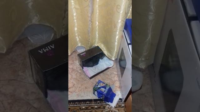 кот укладывается спать смотреть онлайн