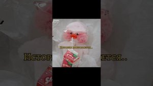 ❤️басики и уточки из тт ?