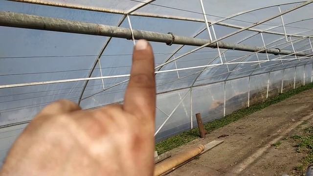 отопление в теплице  дешево и эфективно!
