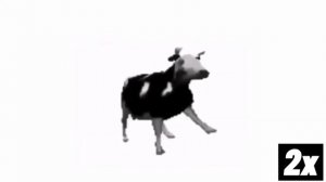 Польская корова на размах скоростях