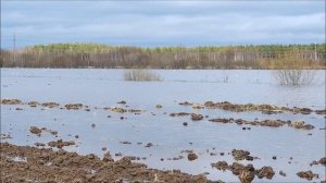 Река Моша п Шалакуша наводнение