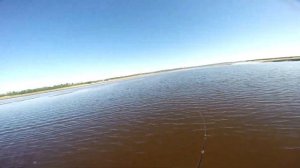 Haibo Smart. Впечатления после года ловли Shimano Calcutta Conquest BFS. Верхогляд.