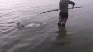 Рыбалка на сазана на оби