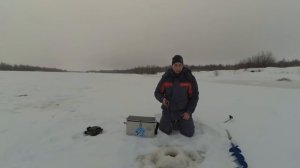 Окунь Нельма на балансир Подледная рыбалка Северная Двина 18.02.18