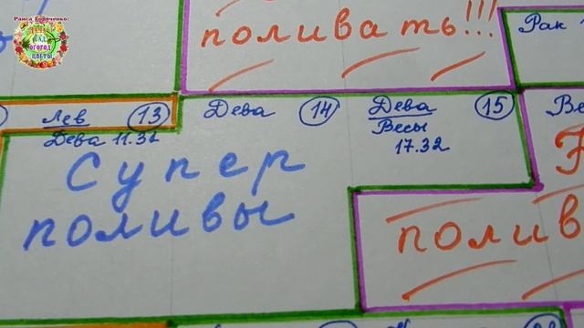 Календарь поливов растений в июле 2021 года. Агрогороскоп поливов на июль 2021 смотреть онлайн