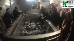 Водяной дефростер опрокидывающийся. Водяная Дефростация