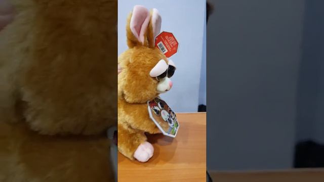 Feisty Pets рыжий заяц.