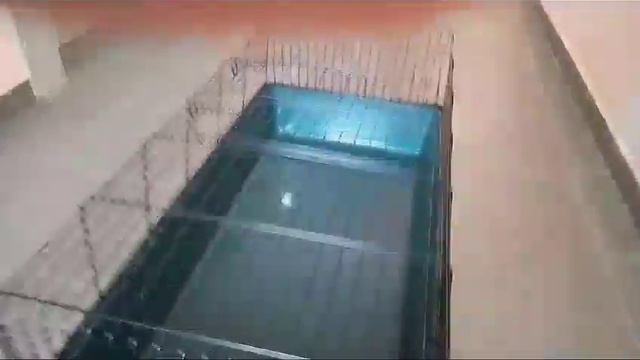 Клетка Юги новая для животных