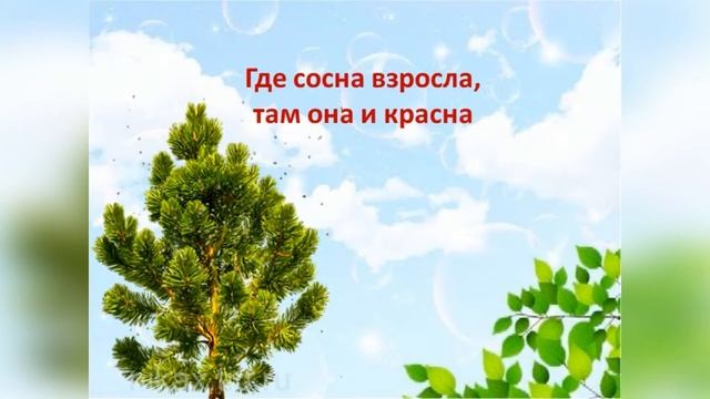 Пословицы о Родине. Часть 1. С озвучиванием. Пословицы и поговорки о Родине. Забытые пословицы.