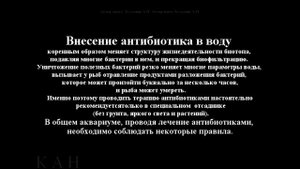 Антибиотики для лечения аквариумных рыб