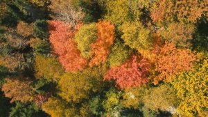 Магия осени - Прекрасная природа