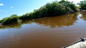 Ищем рыбу на реке Зея