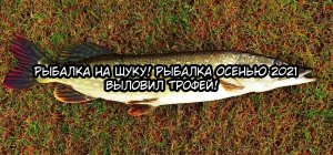 Рыбалка на щуку! Рыбалка осенью 2021! Думал зацепился за корягу....А это....
Такой клёв МЕЧТА!