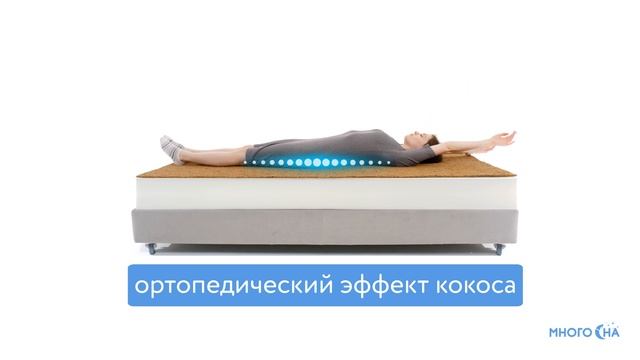 Матрас Dimax Практик Чип Ролл 23 Кокос | Видеообзор от МногоСна