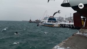 Евпатория. СНЕГОПАД заметает город у моря! Привез зиму в Крым. Капитан Крым. Метель в Крыму