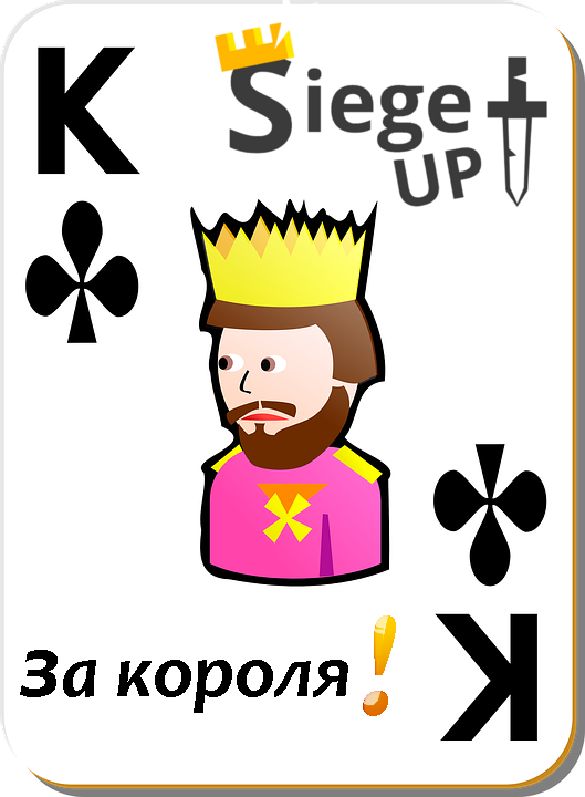 Защитить короля. Защитить короля
