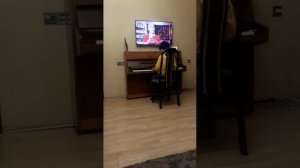 Адажио. Штейбельт