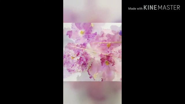 Коллекция фиалок Красноярск