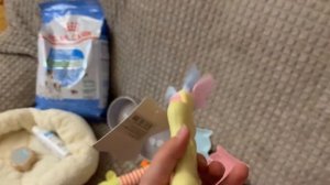 Зоопокупки для щенка| что я купила для двух собак?| йоркширские терьеры