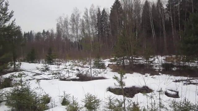 Участок под ИЖС в Таширово смотреть онлайн