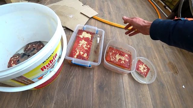 Корм для рыбок домашнего разведения - Аулофорус смотреть онлайн