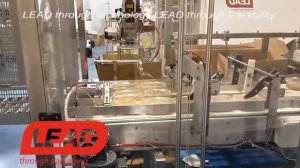 Автомат  по формированию  гофрокоробов и робот укладчик подложек- А PL 50 CASE PACKER USA