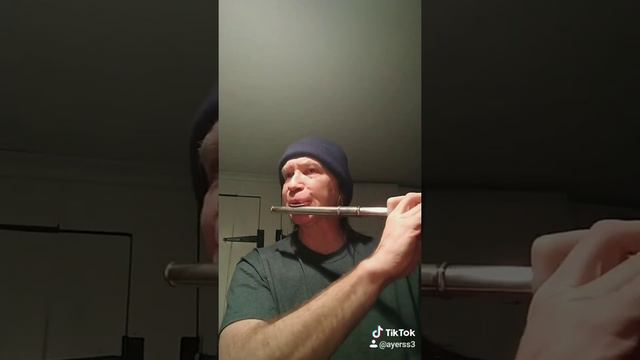 Mackie Messer (flute cover)