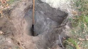 Выкапываю многолетний хрен - нужна большая яма (21/9/2018)