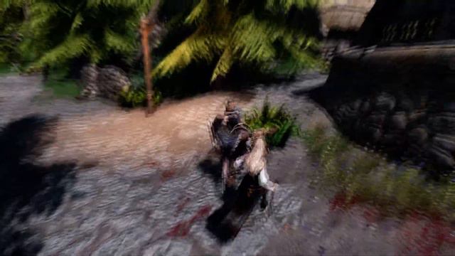 SKYRIM Dagger Parry Female Animation / 스카이림 역수단검 패리 여성모션 смотреть онлайн