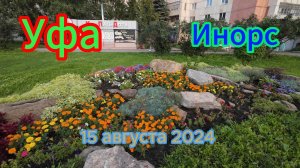 #Уфа. Цветы и ямы ИНОРСА, лето 2024