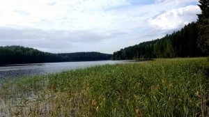 Подводная охота на озере Валдай