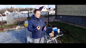 Глистогонка для собак. Какие препараты есть? Как давать собакам?